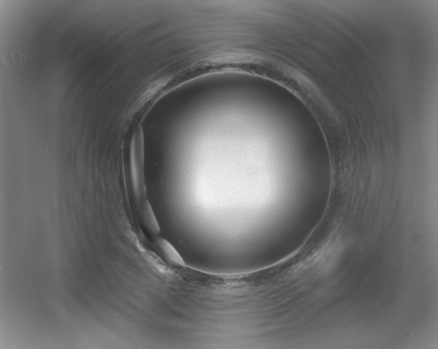 X0000056010833200508221452