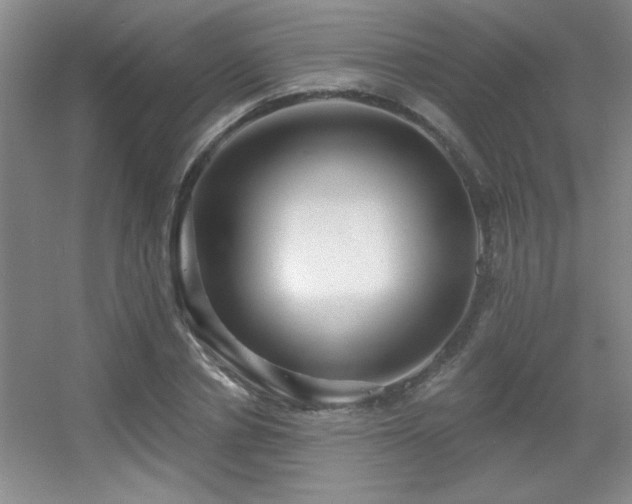 X0000056010834200508221452