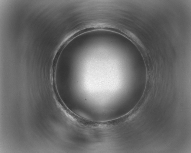 X0000056010839200508221452