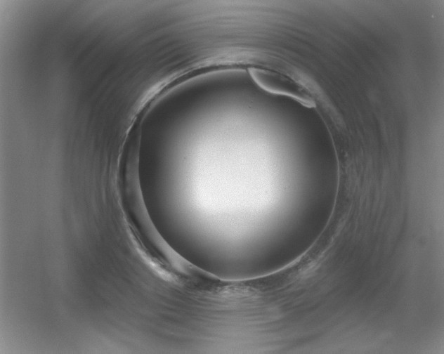 X0000056010842200508221452