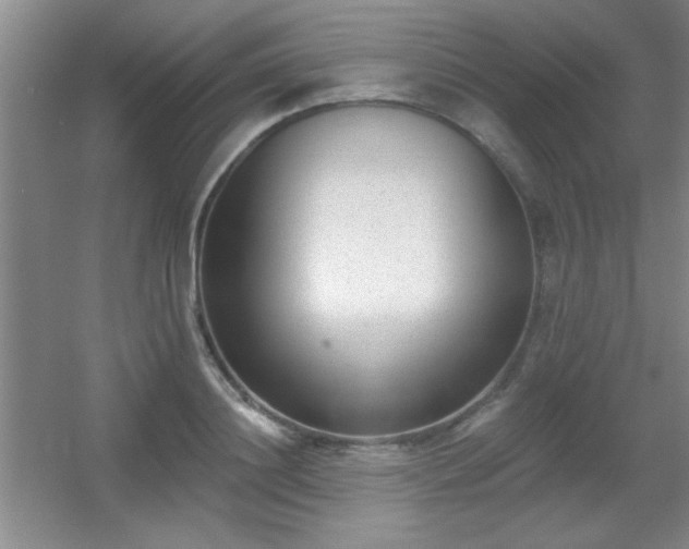 X0000056010844200508221452