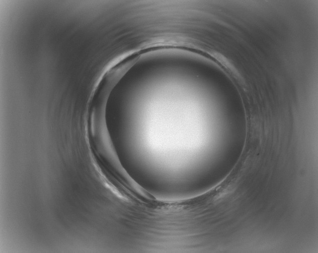 X0000056010846200508221452