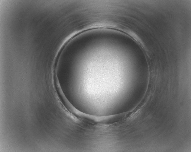 X0000056010854200508221452