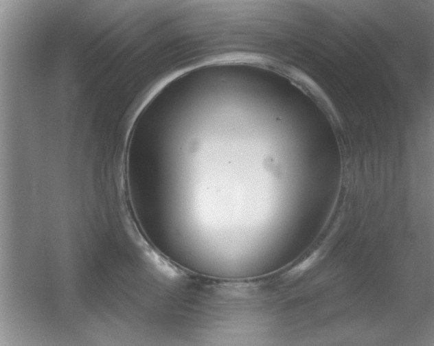 X0000056010860200508221453
