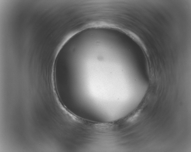 X0000056010863200508221453