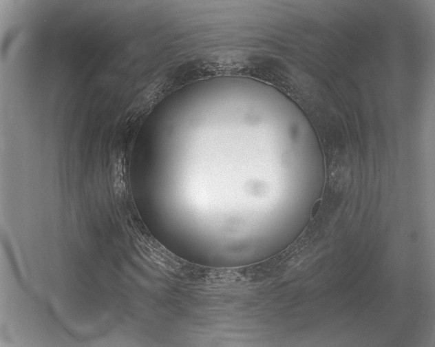 X0000056010866200508221452