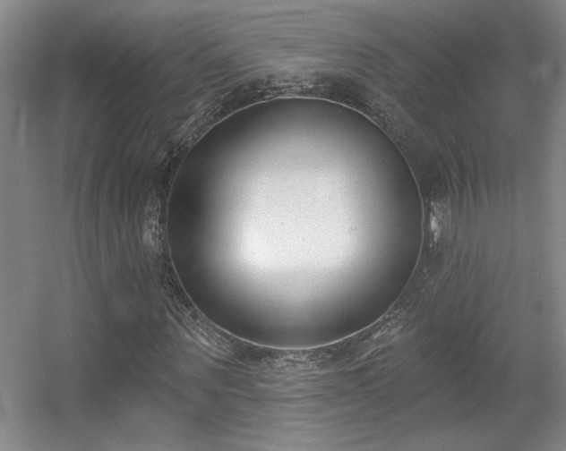 X0000056010867200508221452
