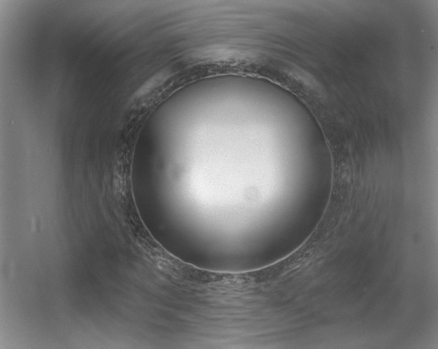 X0000056010869200508221452