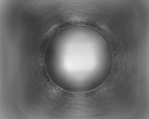 X0000056010870200508221452