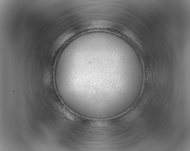 X0000056010874200508221452