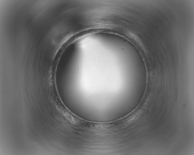 X0000056010875200508221452