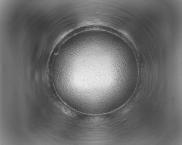 X0000056010879200508221452
