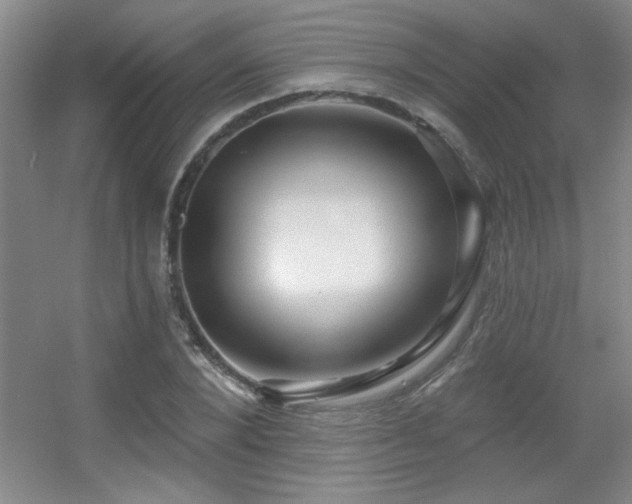 X0000056010880200508221452