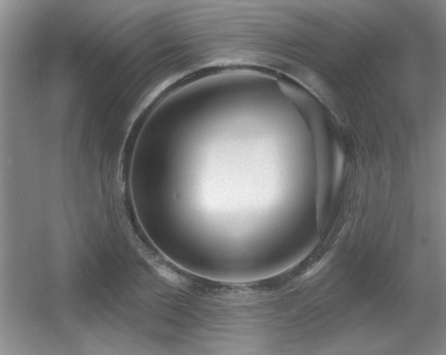 X0000056010885200508221451