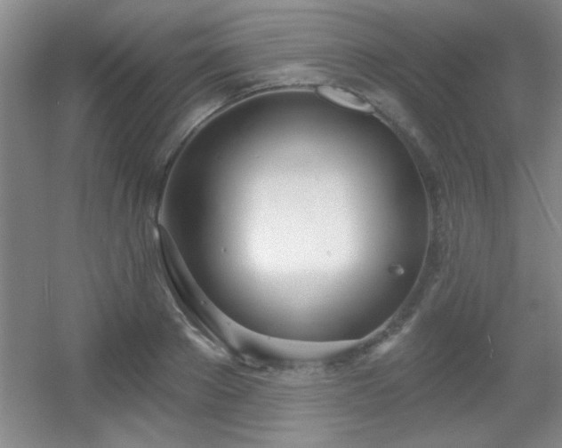 X0000056010889200508221451