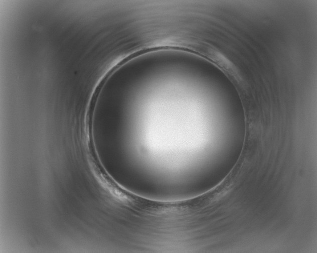 X0000056010892200508221451