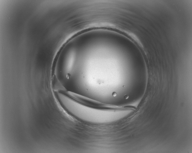 X0000056010895200508221451