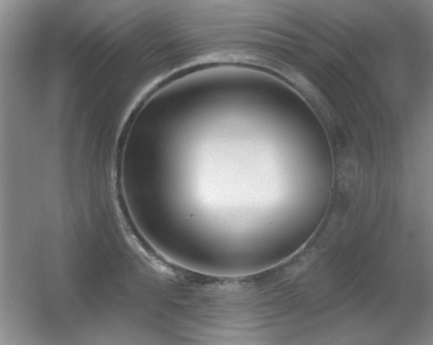 X0000056010896200508221451