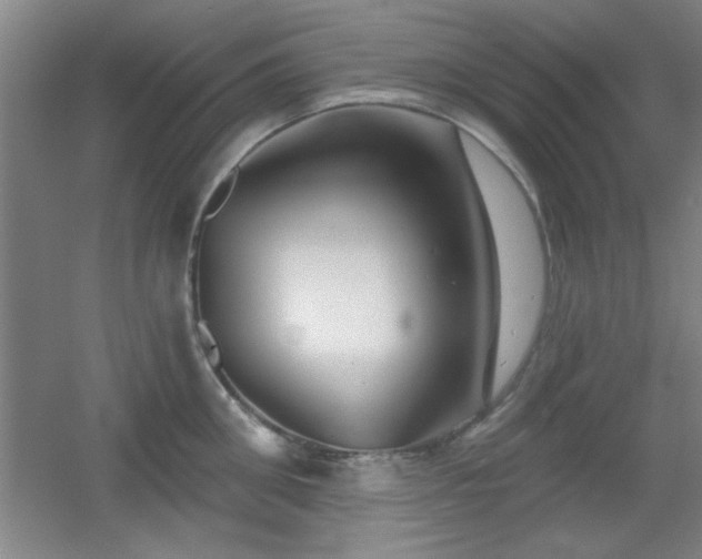 X0000056010906200508221451