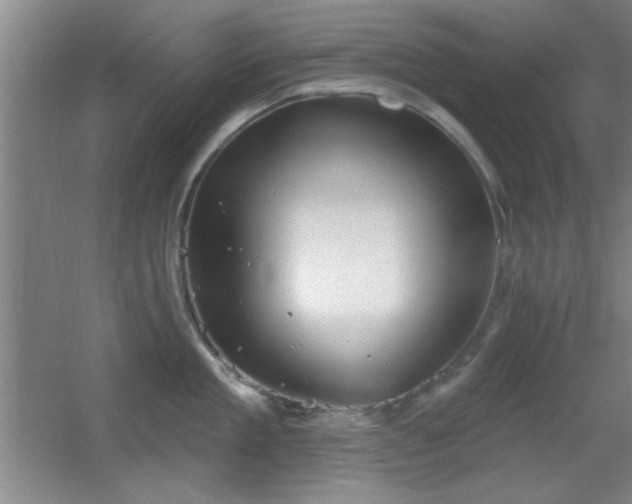 X0000056010909200508221451