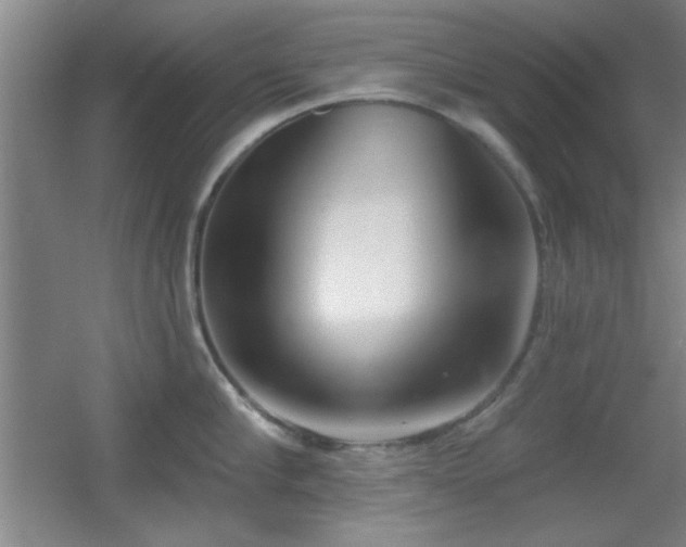 X0000056010910200508221451