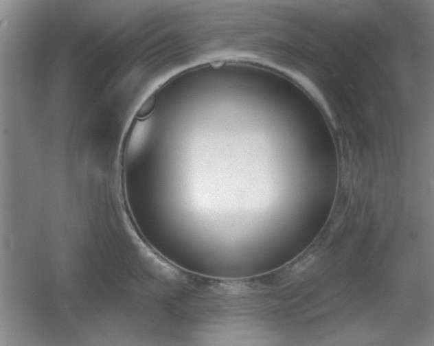 X0000056010911200508221451