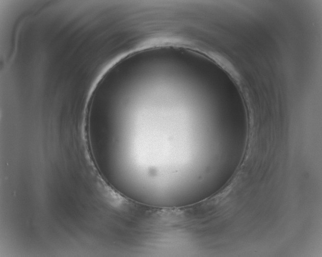 X0000056010912200508221451