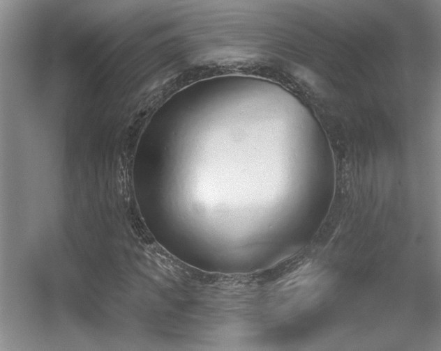 X0000056010917200508221450