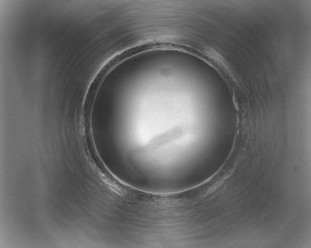 X0000056010924200508221450