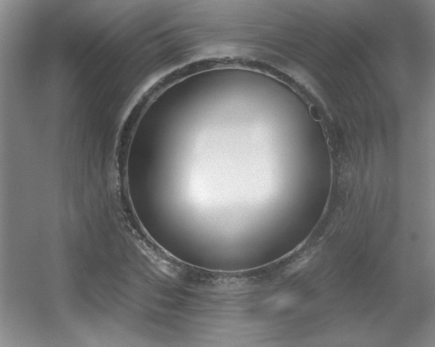 X0000056010927200508221450