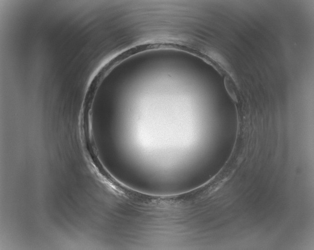 X0000056010928200508221450