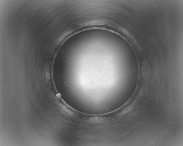 X0000056010929200508221450