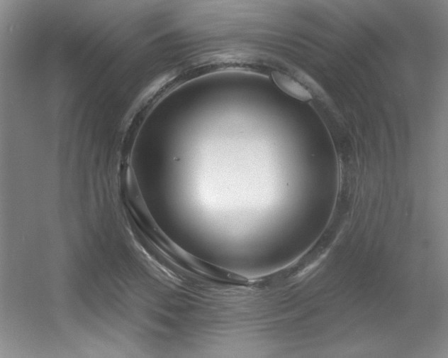 X0000056010930200508221450