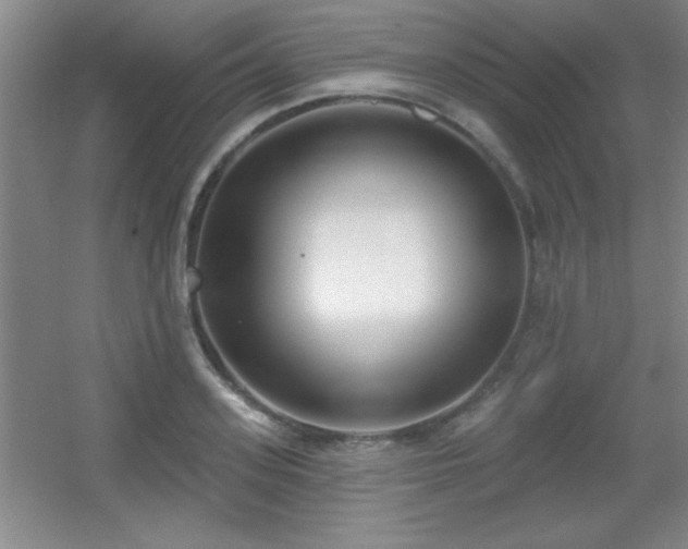 X0000056010939200508221451
