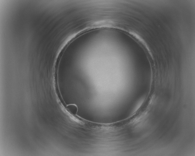 X0000056010941200508221451