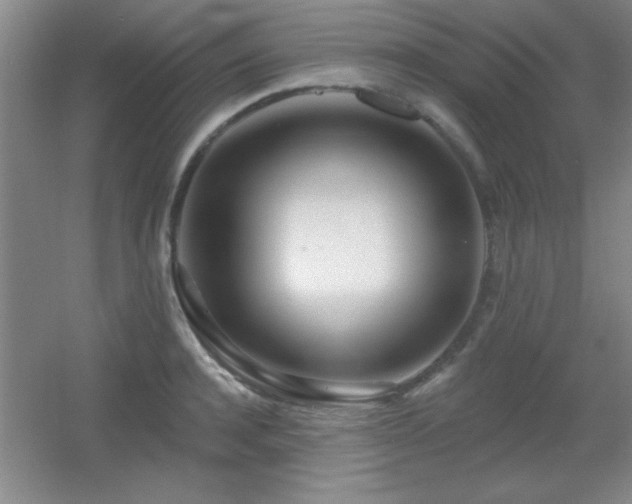 X0000056010944200508221451