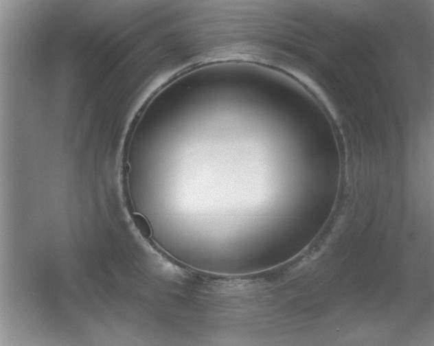 X0000056010949200508221451