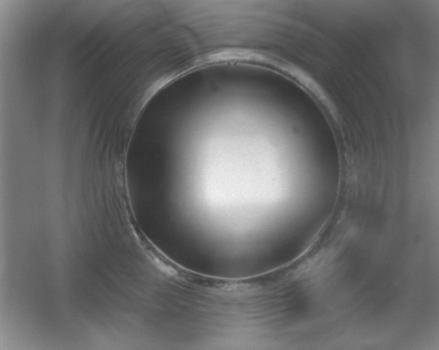 X0000056010953200508221451