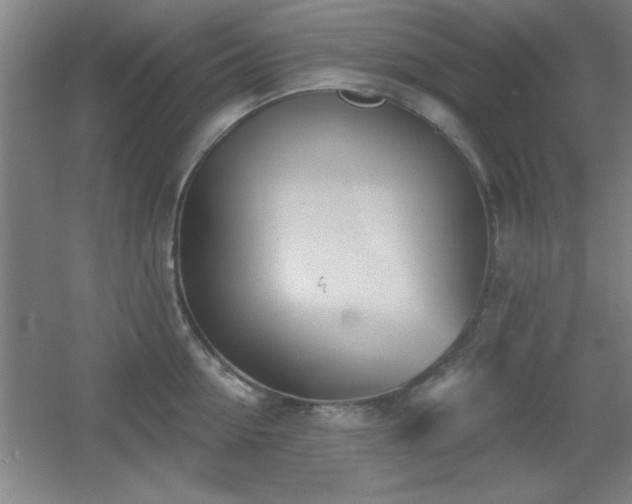 X0000056010954200508221451