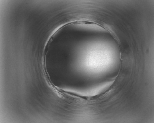 X0000056010956200508221451