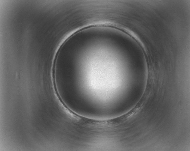 X0000056010959200508221451