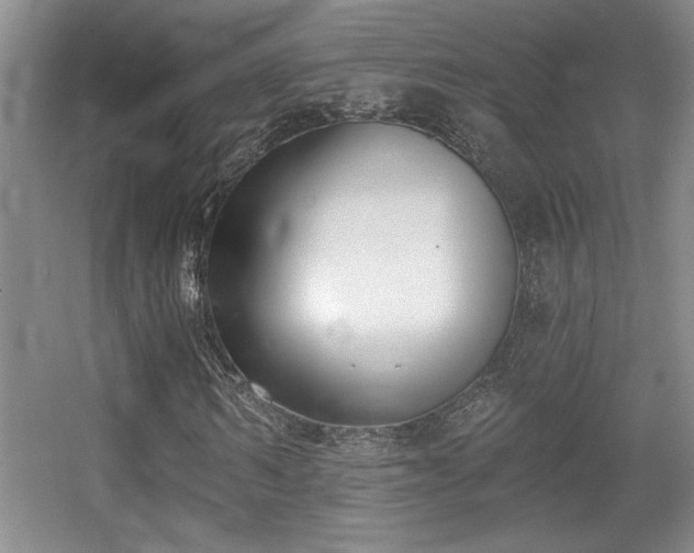 X0000056010962200508221450