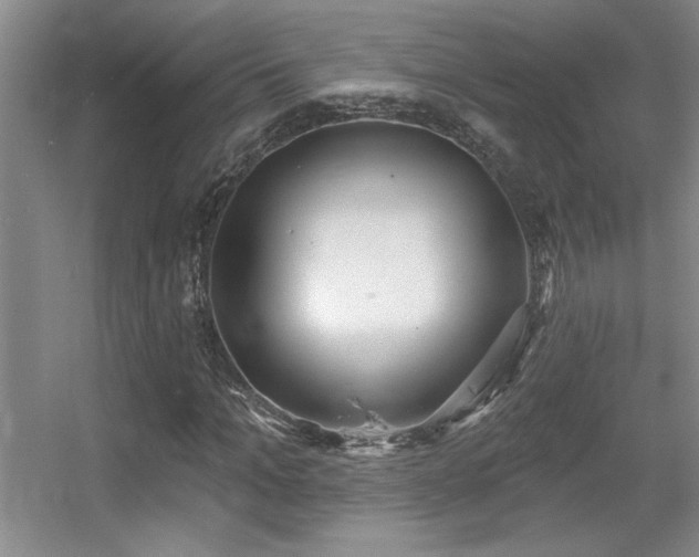 X0000056010965200508221450