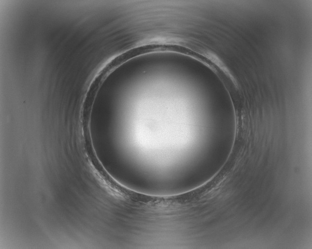 X0000056010972200508221450