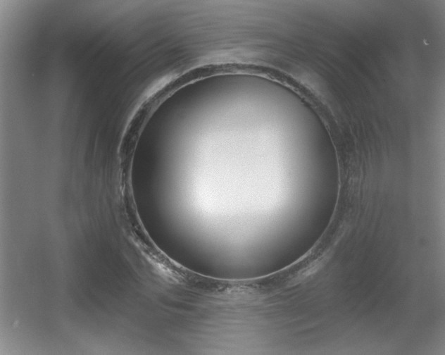X0000056010974200508221450
