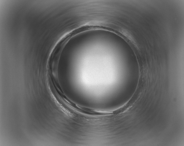 X0000056010976200508221450