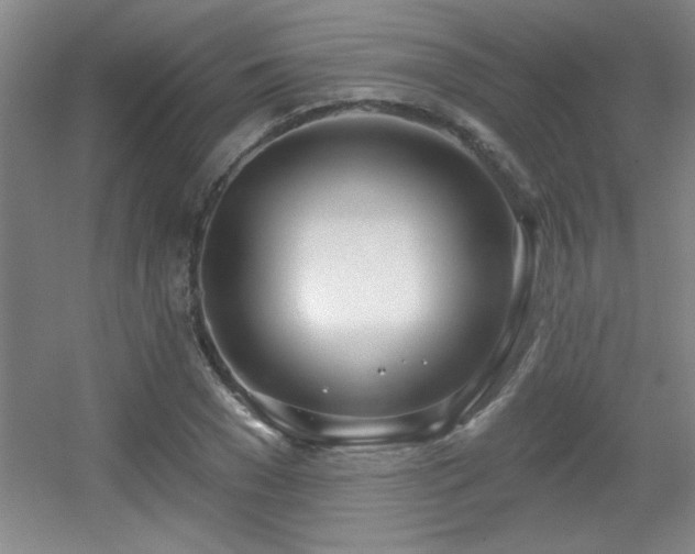 X0000056010977200508221450
