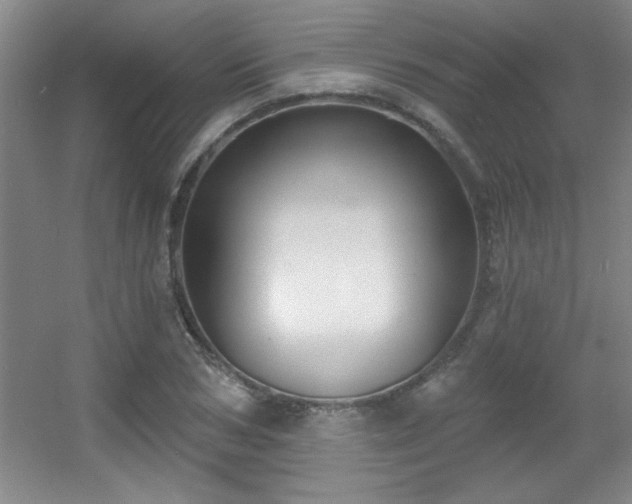 X0000056010978200508221450