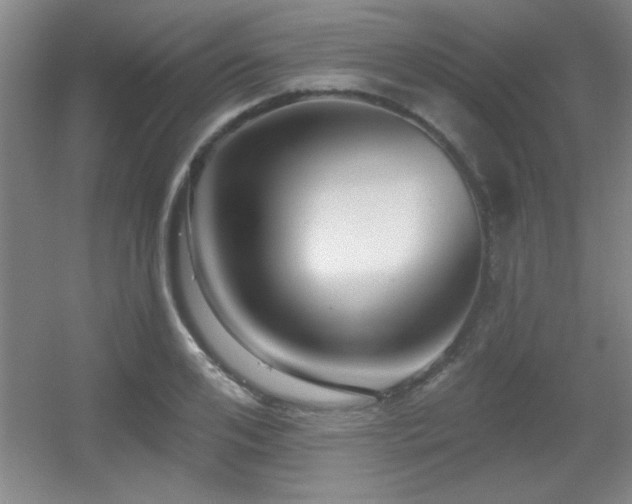 X0000056010984200508221450