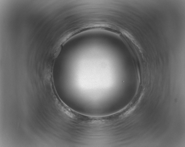 X0000056010985200508221450